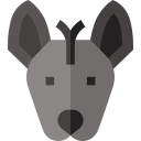 xoloitzcuintle