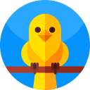 pájaro del amor icon