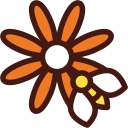 flor 