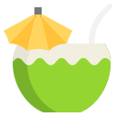 agua de coco icon