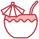 agua de coco icon