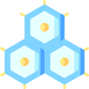 nucleótido