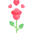 rosa 
