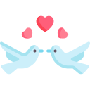 Pigeons 