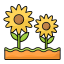 girasol icon