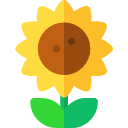 girasol icon