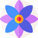 rangoli icon