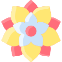 rangoli icon