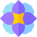 mandala icon