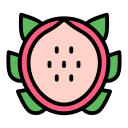 dragon de fruta icon