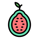 guayaba icon