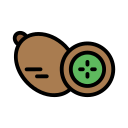 kiwi icon