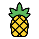 piña icon