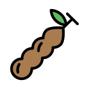 tamarindo icon