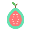 guayaba icon