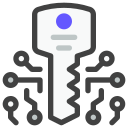 llave icon