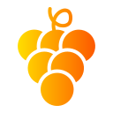 uvas icon