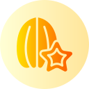 carambola icon