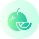 durian icon