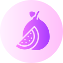 guayaba icon