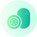 kiwi icon