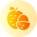 lychee icon