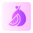 guayaba icon