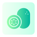 kiwi icon