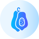 papaya icon