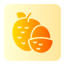 lychee icon