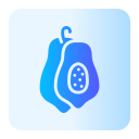 papaya icon