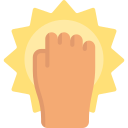 Fist 