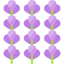 lavanda 