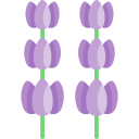 lavanda icon