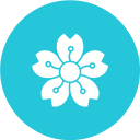 blüte 