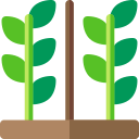 plantación icon