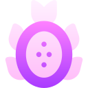 pitaya icon