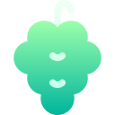 uvas icon