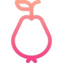 guayaba icon