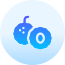 lychee icon