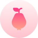 guayaba icon