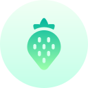 fresa icon