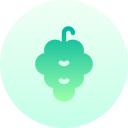 uvas icon