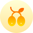 aceituna icon