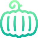 calabaza icon