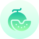 melón icon