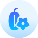 fruta estrella icon