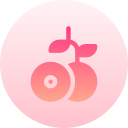 longan icon