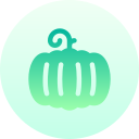 calabaza icon