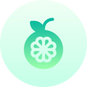 naranja icon